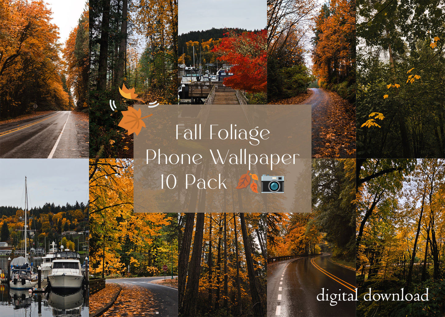 Fall Foliage Phone Wallpaper 10 Pack